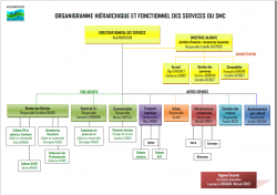 organigramme fonctionnel smc hierarchique